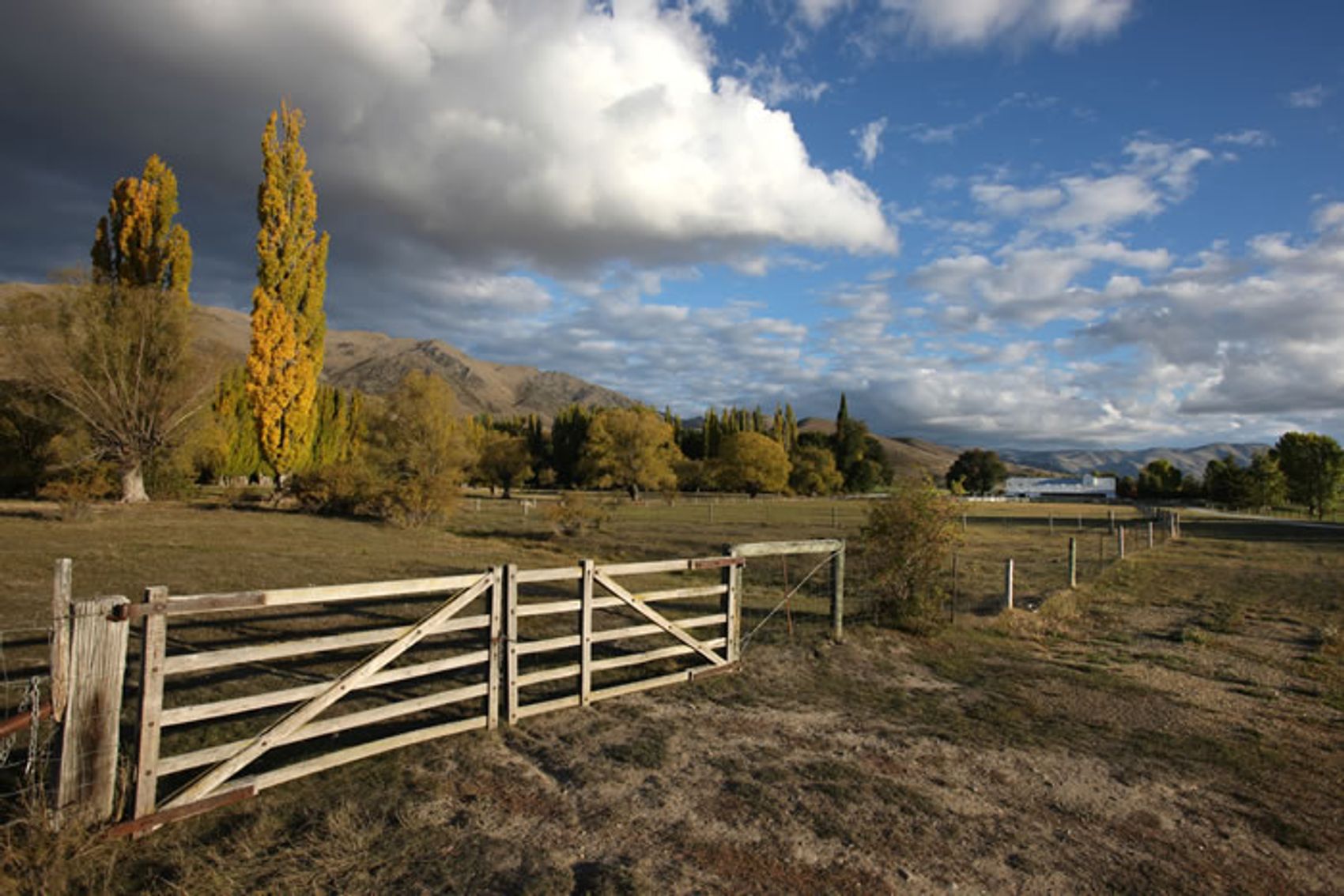 The Omarama Station landscape