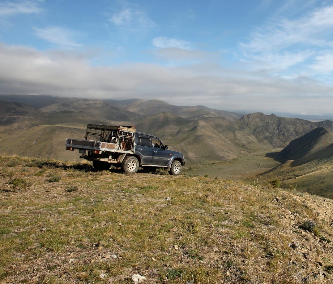 A station track on a ridge in the soaring country above the Mackenzie Basin